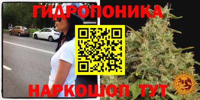ECSTASY Краснознаменск