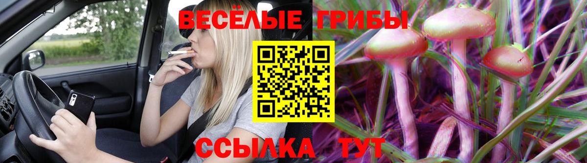 Галлюциногенные грибы MAGIC MUSHROOMS Коркино
